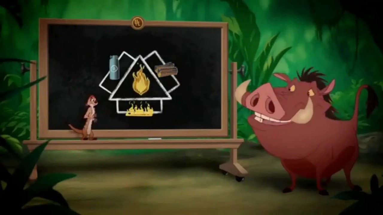 Wild About Safety: Timon and Pumbaa Safety Smart About Fire