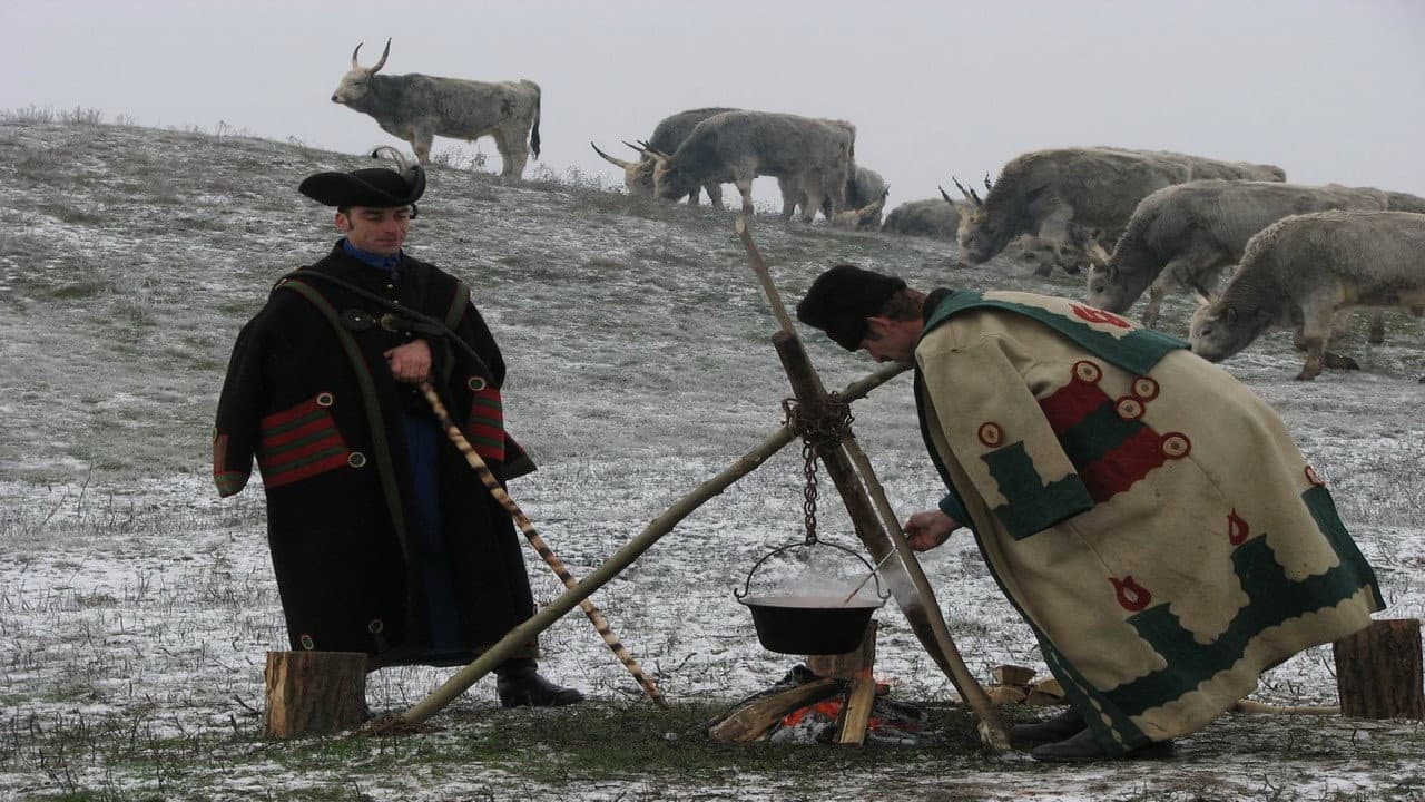 Wild Hungary â A Water Wonderland