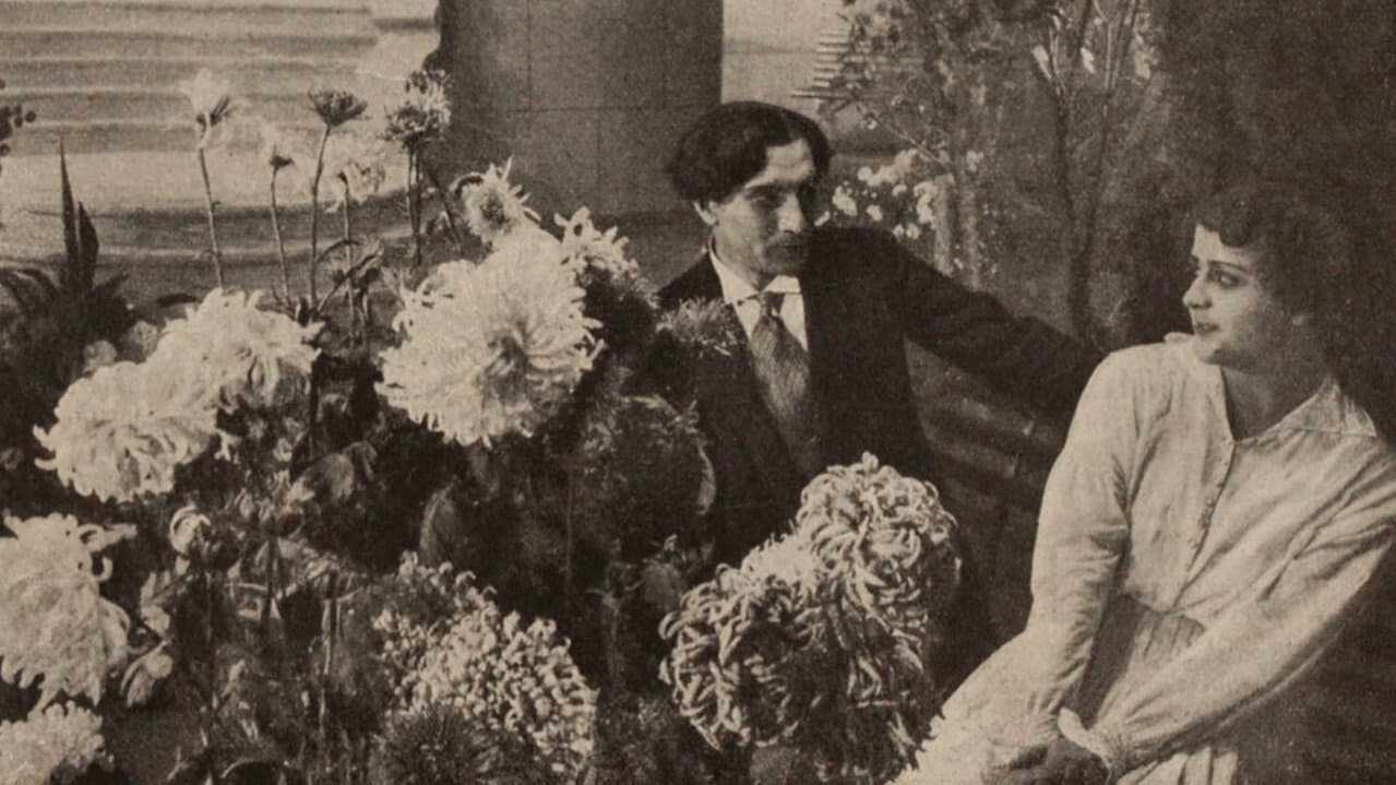 Long Gone are Chrysanthemums in a Garden
