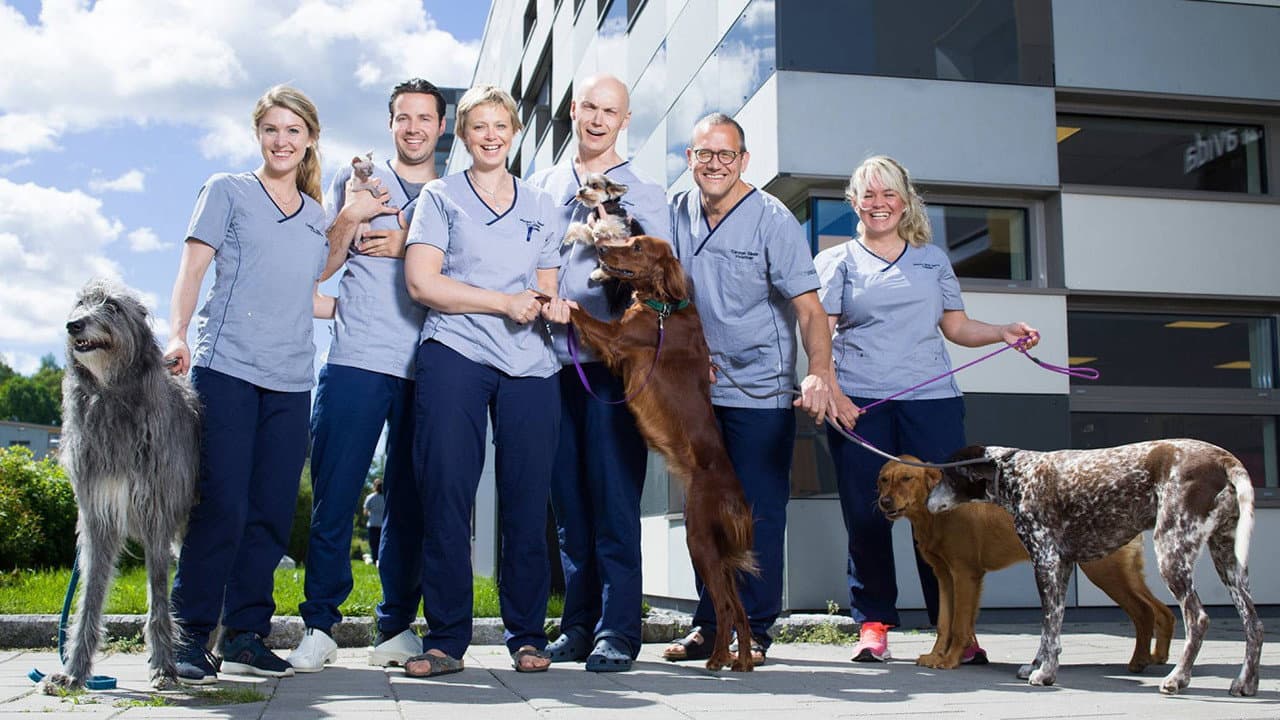 Veterinærene