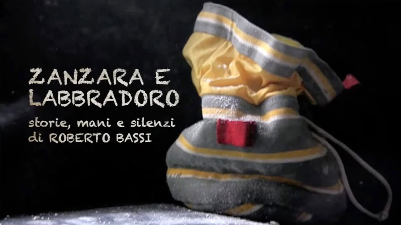 Zanzara e Labbradoro - Storie Mani e Silenzi di Roberto Bassi