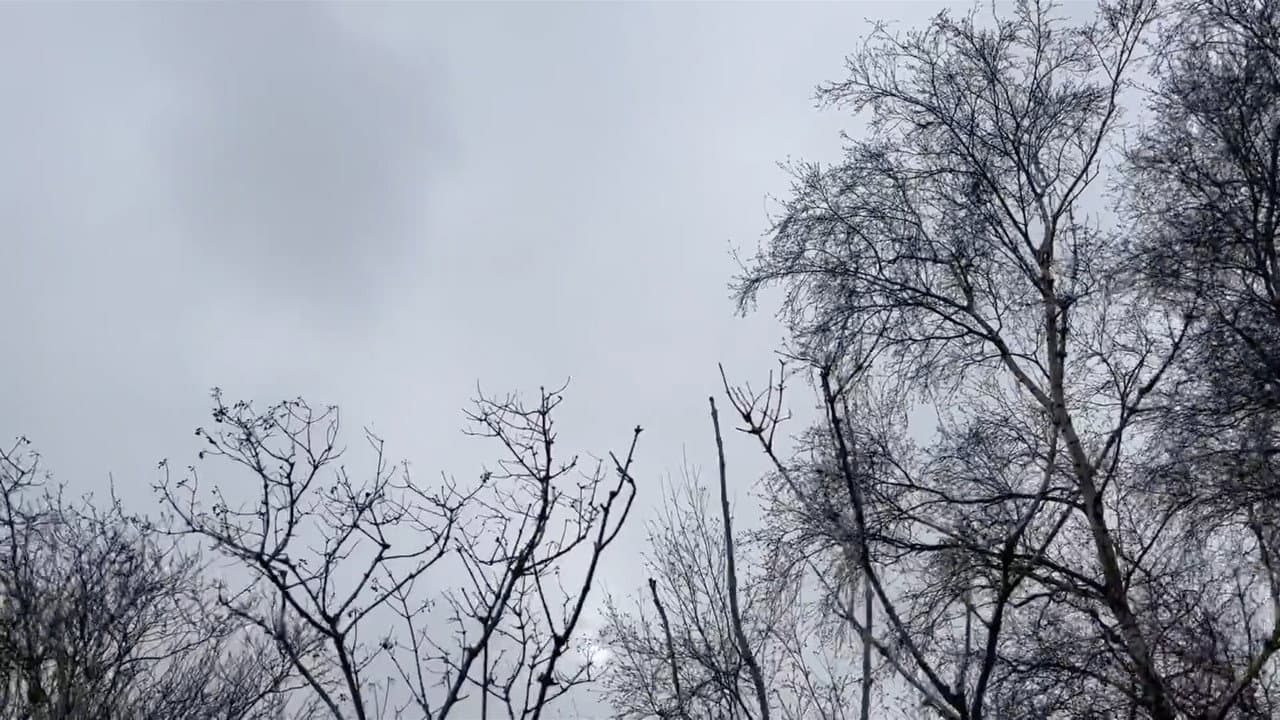 Middelpolder