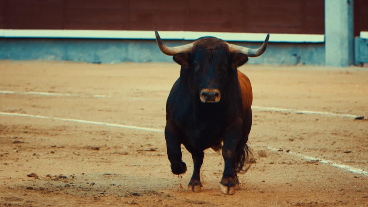 Toro