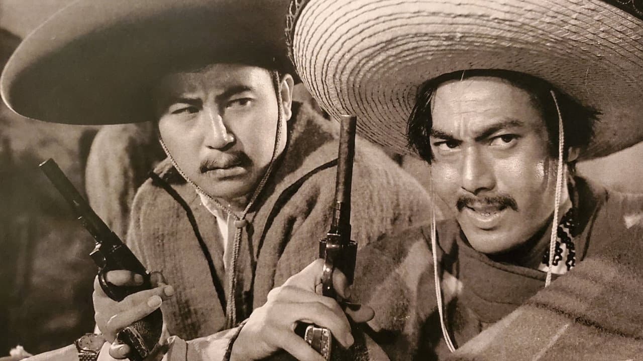 Mexico Drifter