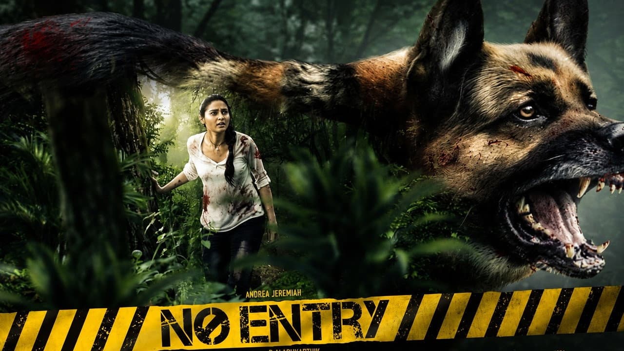 No Entry