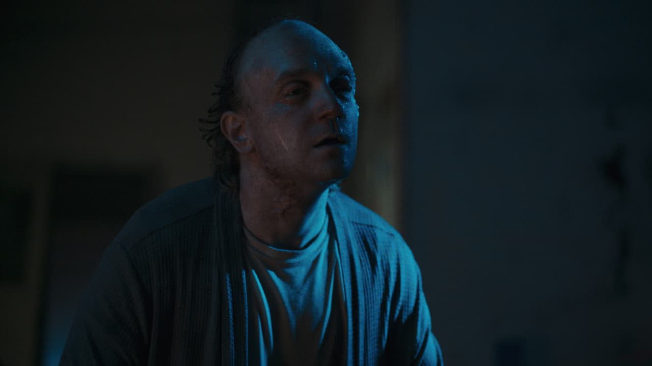FESTER