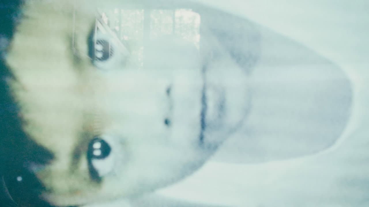 2010