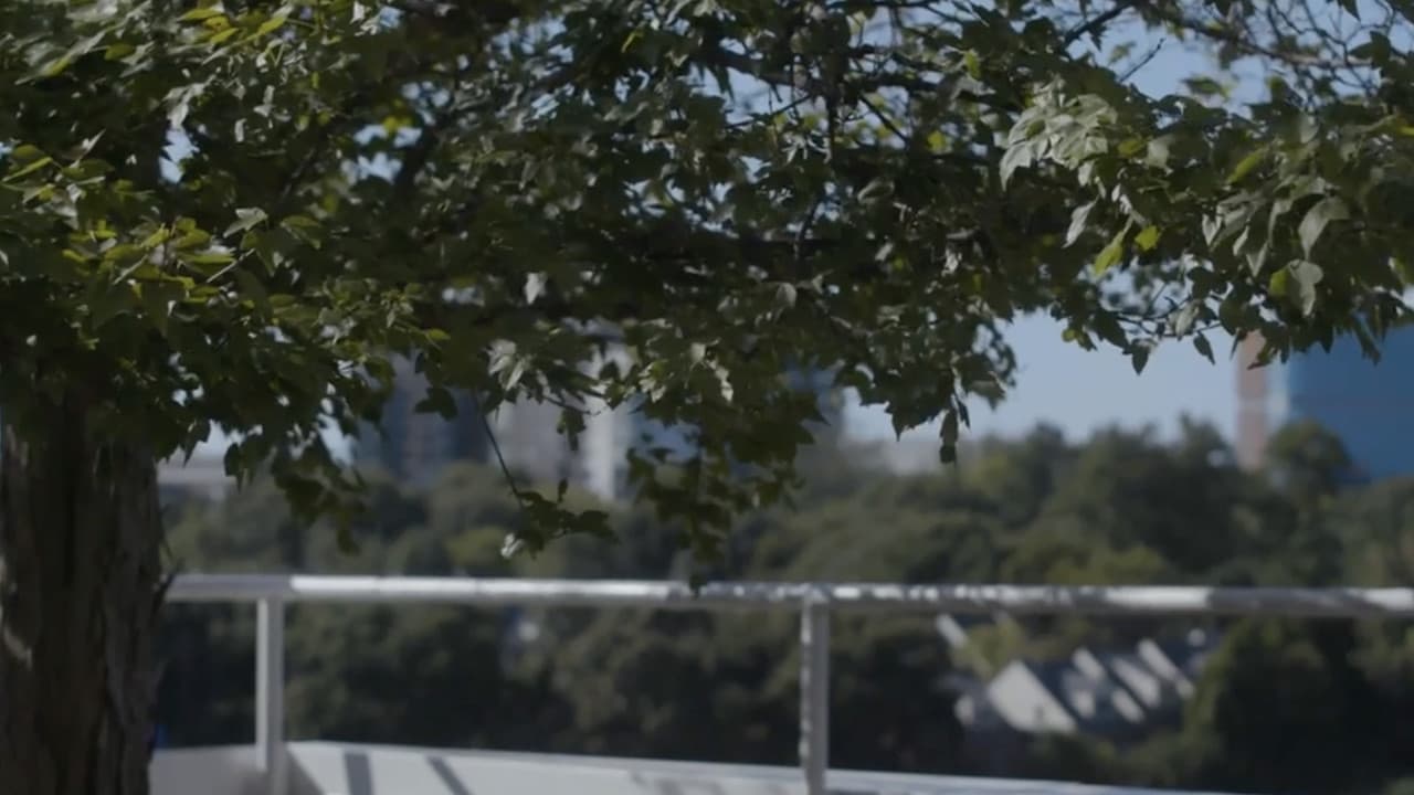 The City He Forgets