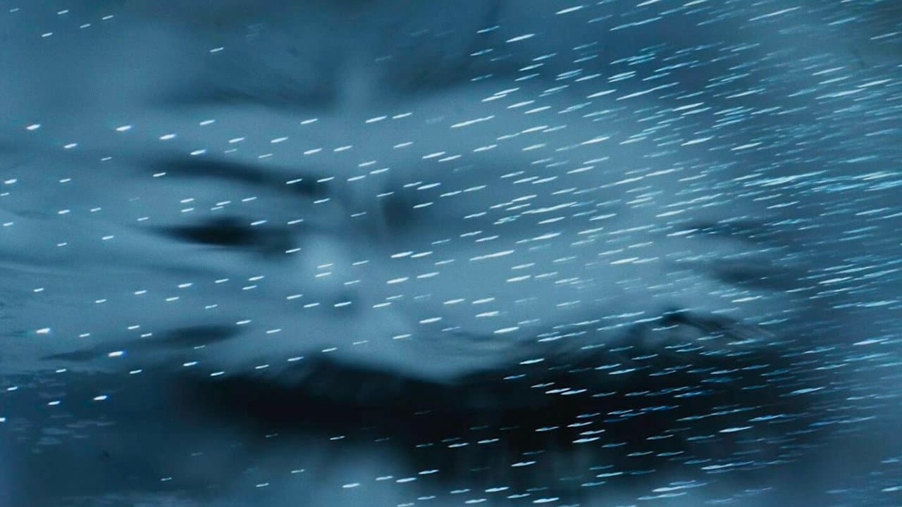 Movimentum