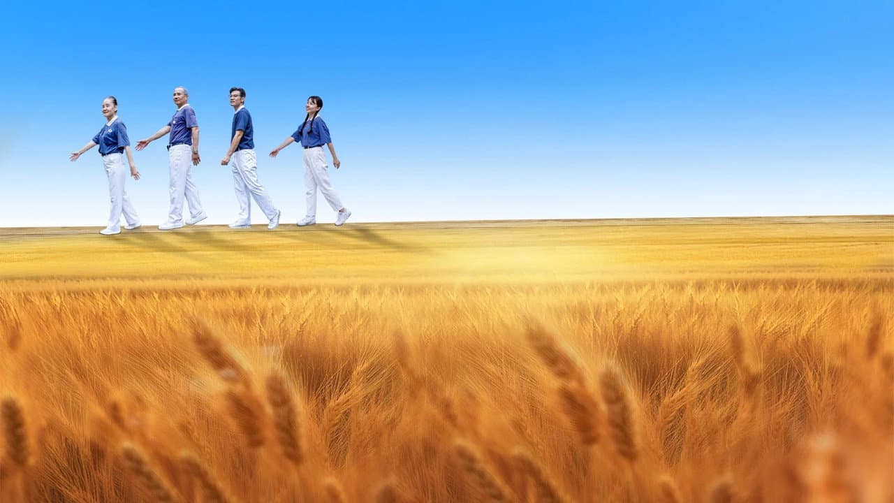 Life's Harvest