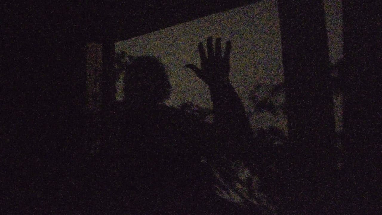 A garden of shadows