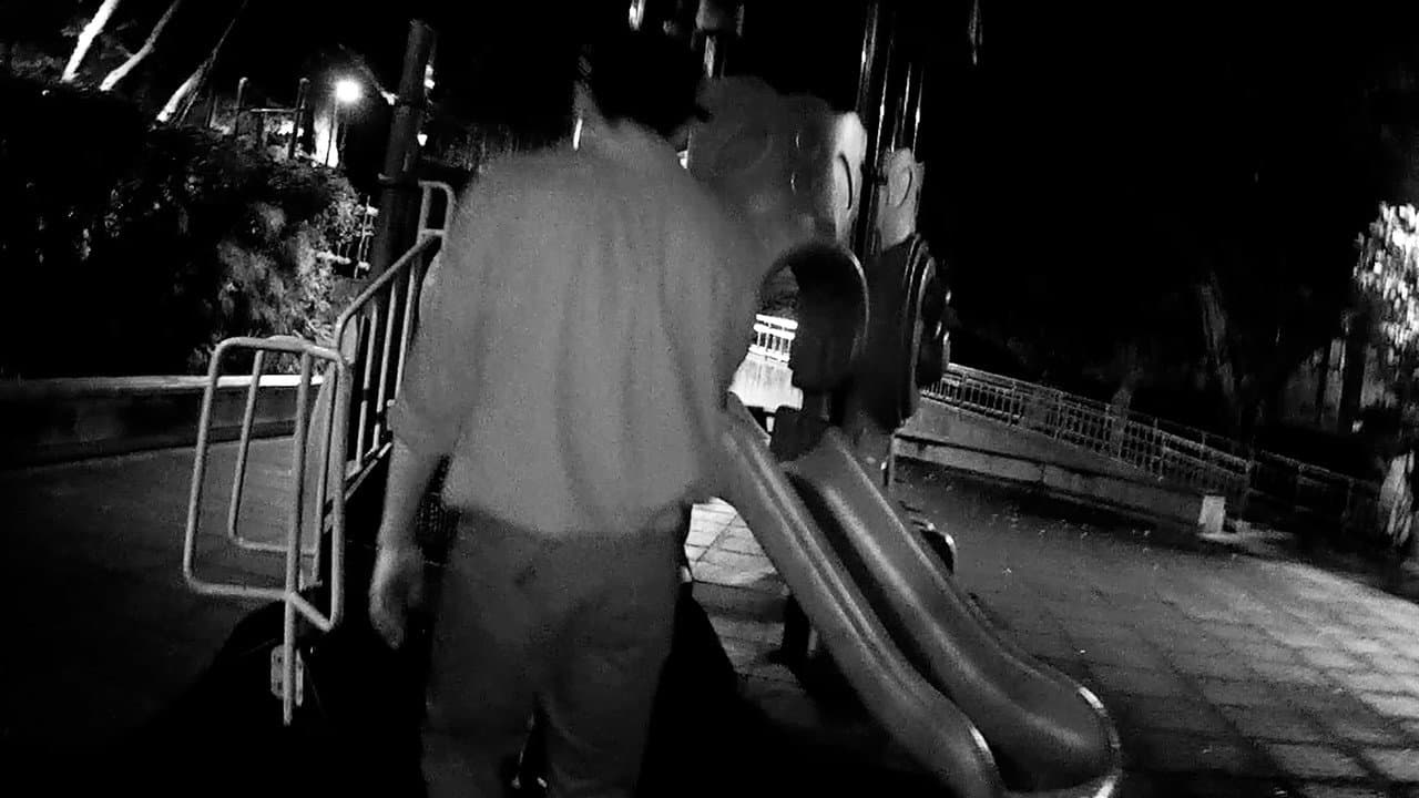 Midnight Playground