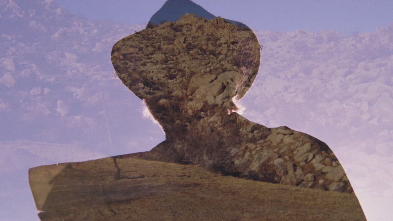Prisoner of the Desert