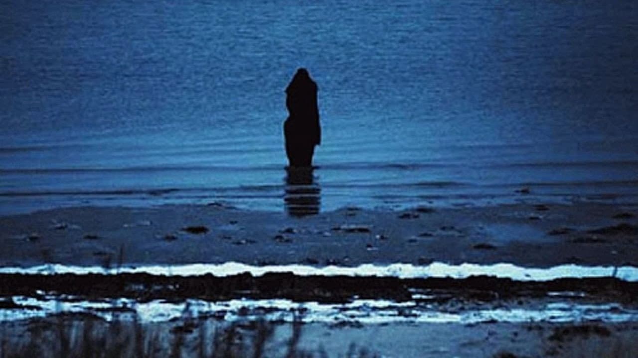 Steven Wilson: Catalogue / Preserve / Amass