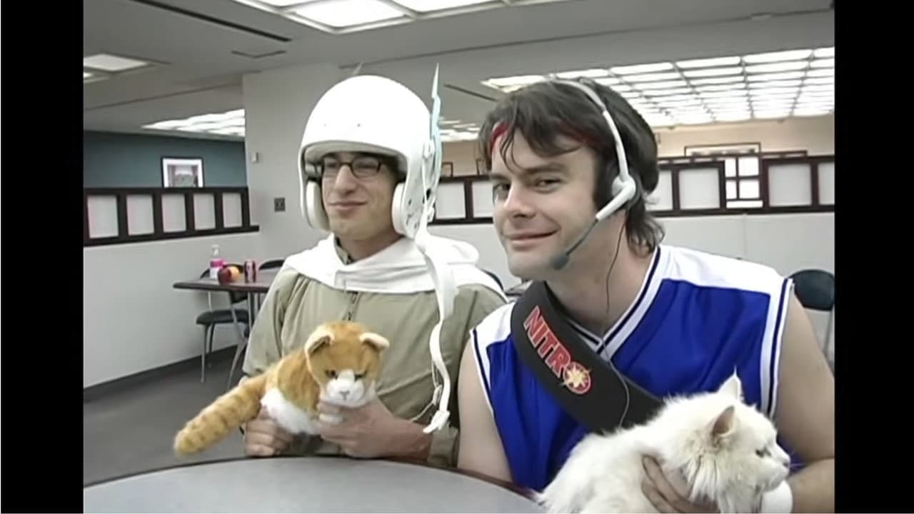 Laser Cats!