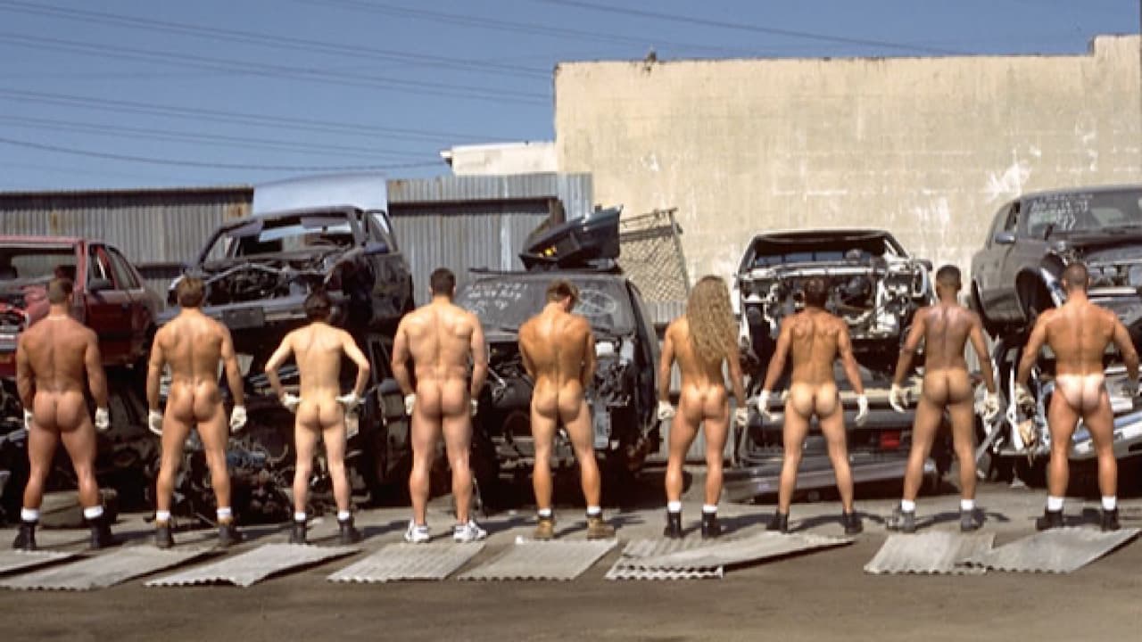 Junkyard Boyz