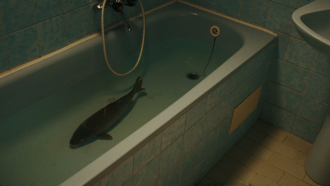 The Carp