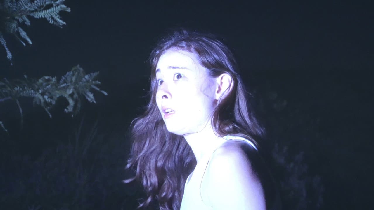 Frontlight