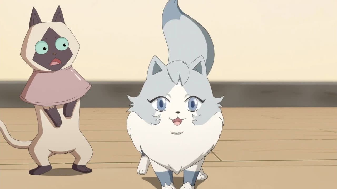 猫先动的手!