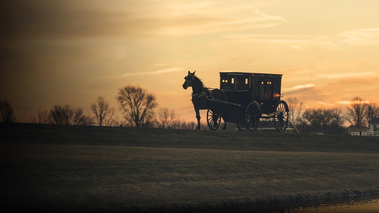 The Amish: Shunned