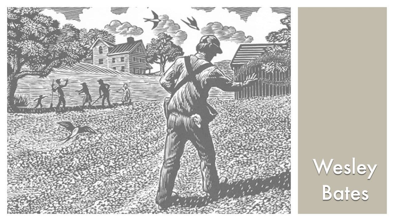 LOOK & SEE: Wesley W. Bates - Wood Engraver