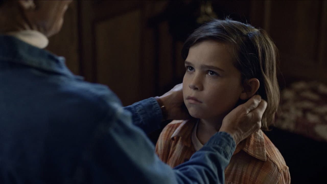 Beware the Wolves