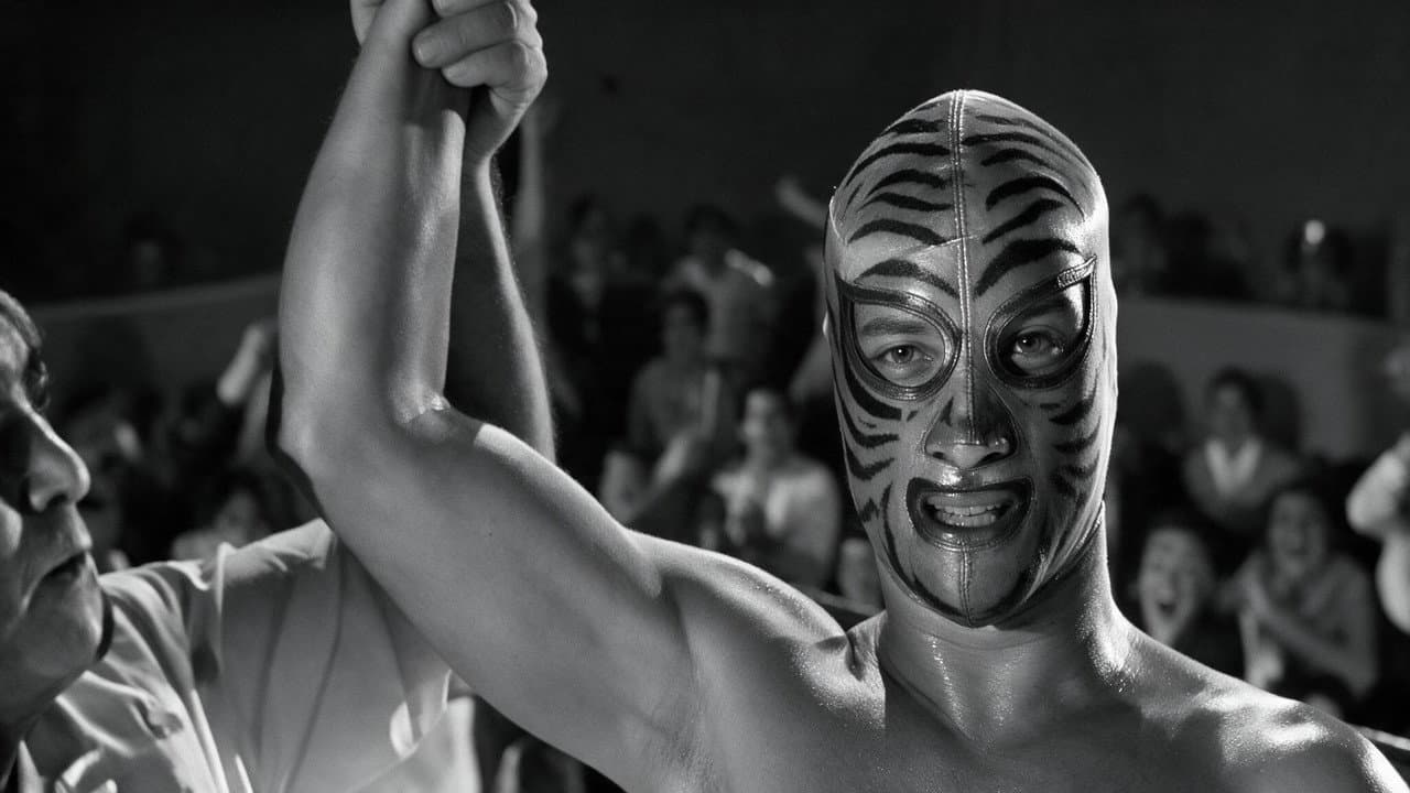 Los tigres del ring