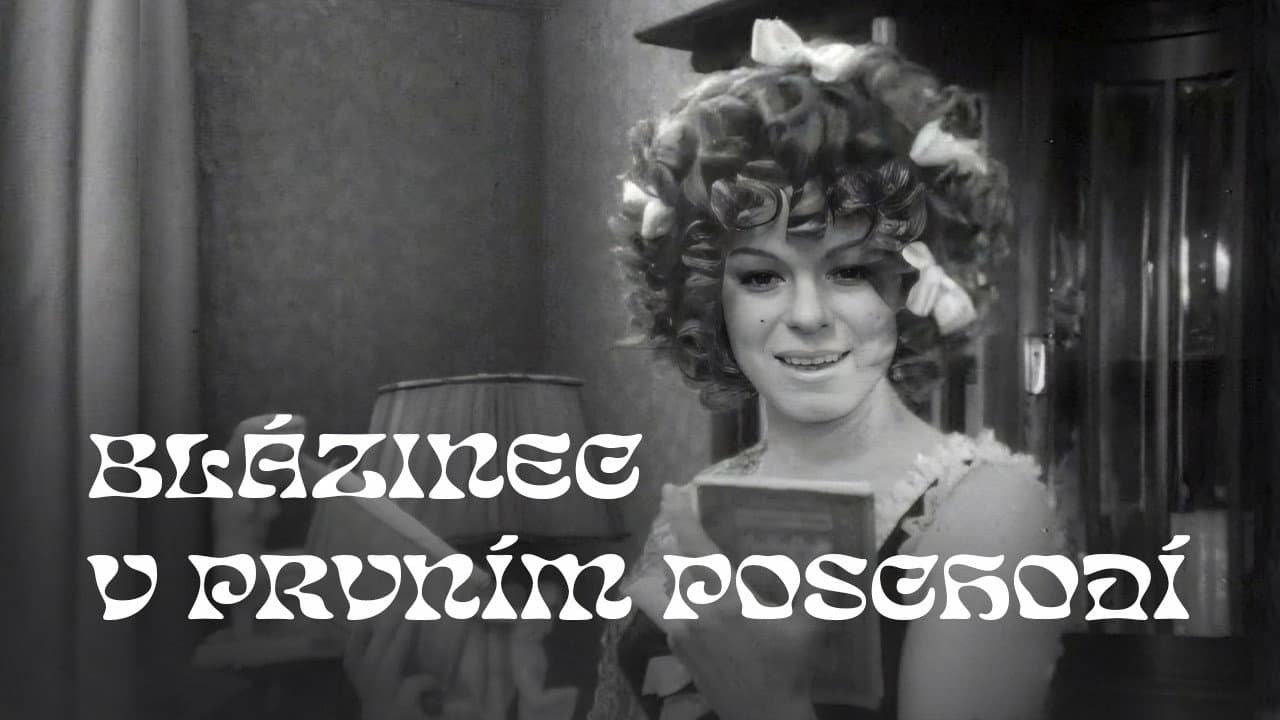 Blázinec v 1. poschodí