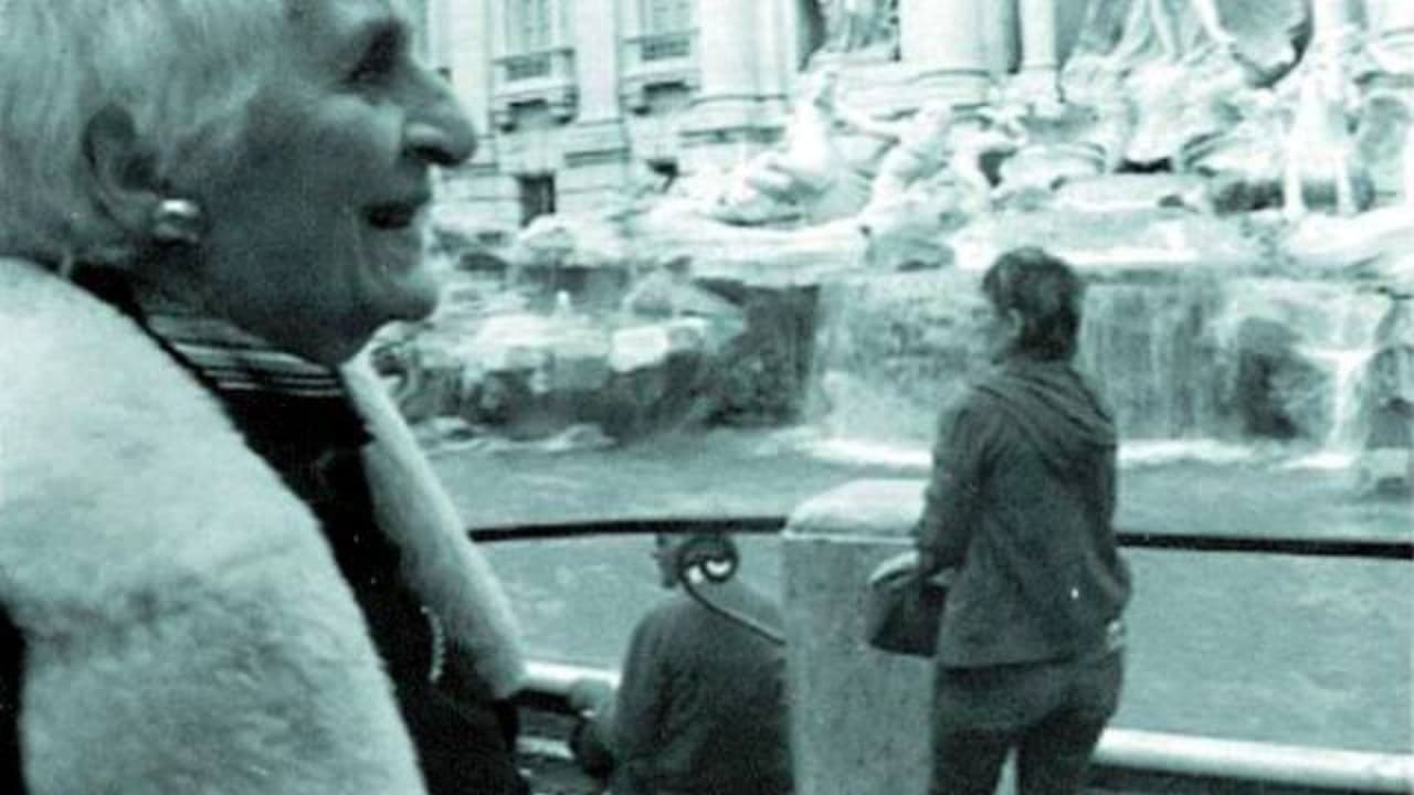 THE INTERPRETER OF BLACK AND WHITE FILMS