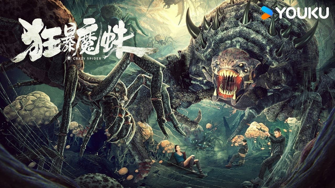Crazy Spider