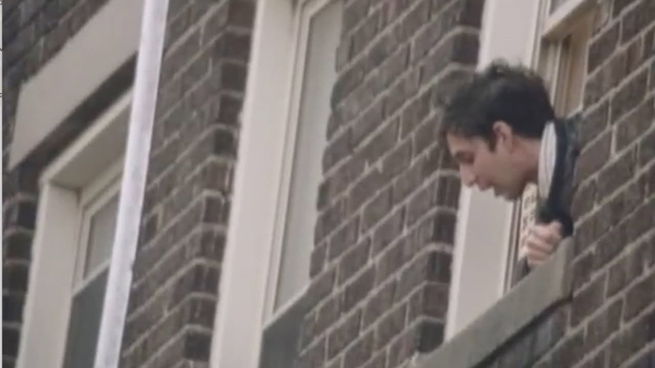 The Back of Her Head