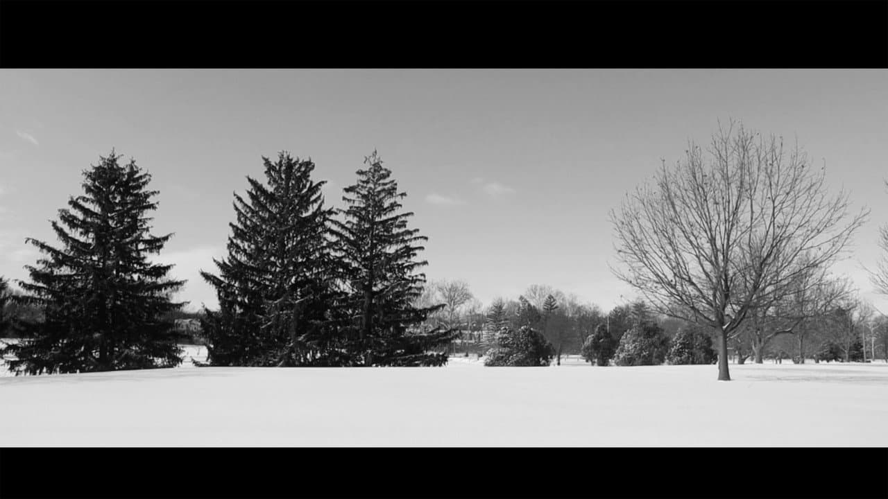 Snow day
