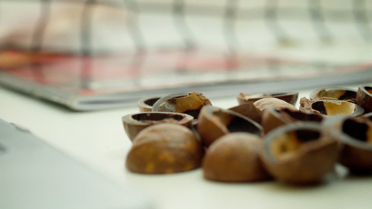 Macadamia