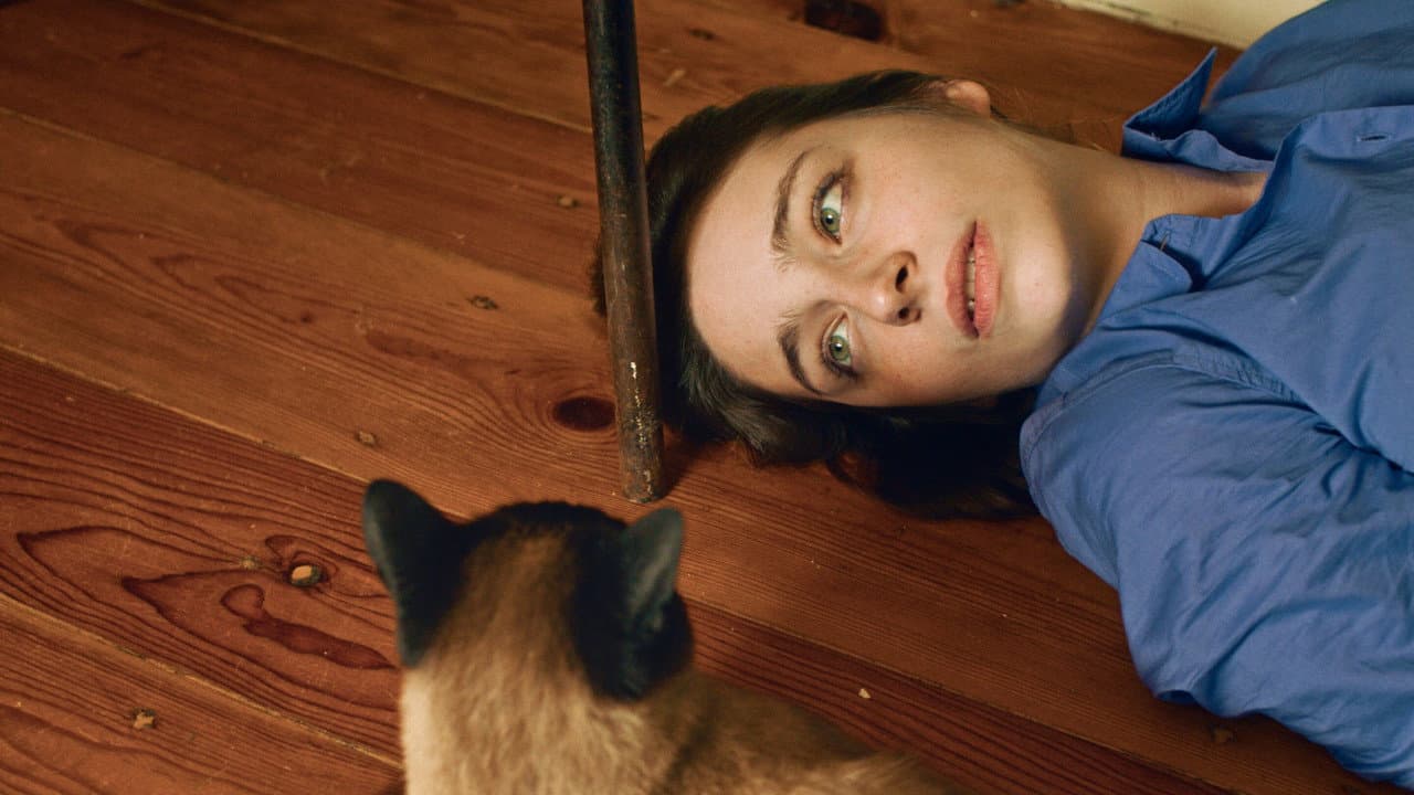 Dois e Um Gato