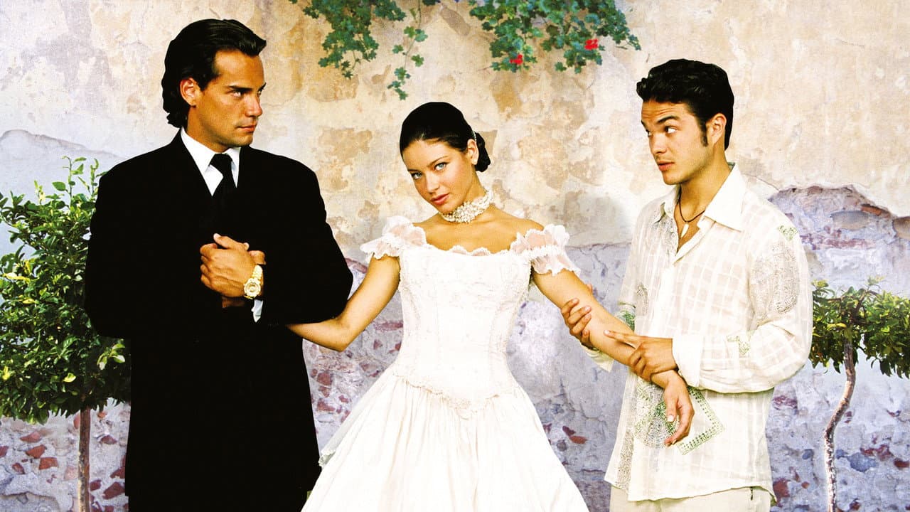 Once Upon a Wedding