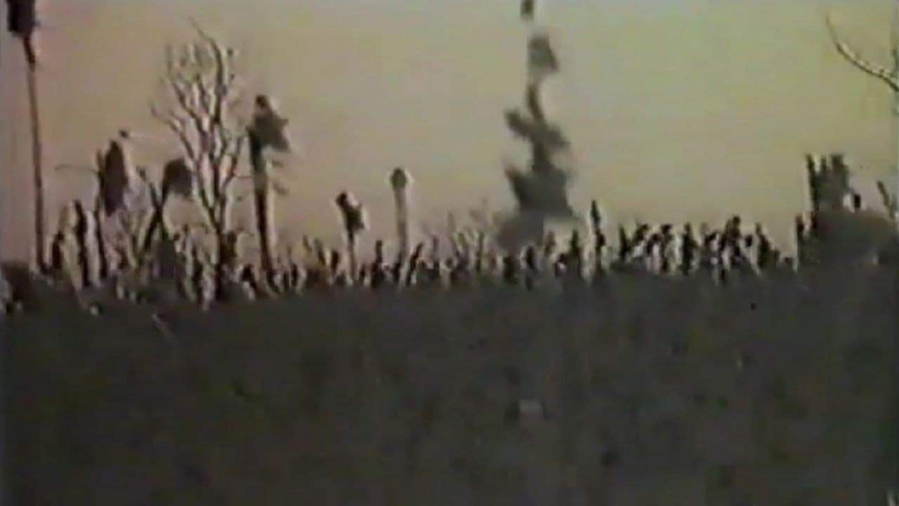 Angel of the Harvest