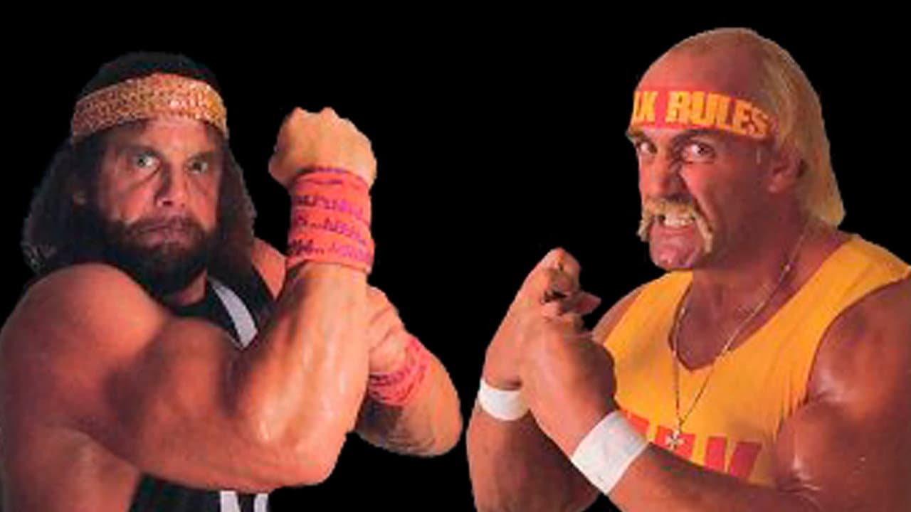 WWE WrestleMania V