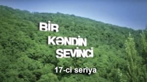 Episode 17