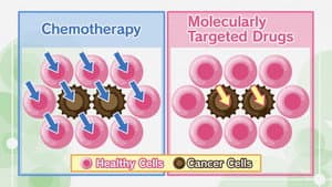Lung Cancer #4: Pharmacological Treatments