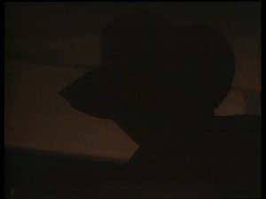 The Shadow Man / The Uncle Devil Show / Opening Day