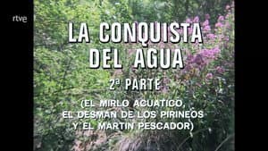 The Conquest of Water II