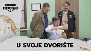 2433 U svoje dvorište