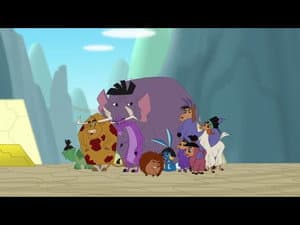 Eco Kuzco
