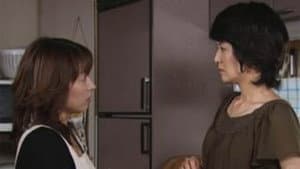 Episode 29