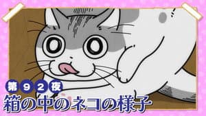 Night 92: What's the Cat Doing Inside the Box?
