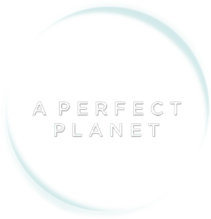 A Perfect Planet