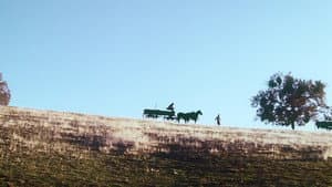 The Long Road Home