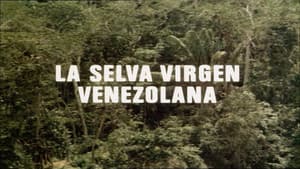 The Venezuelan Virgin Jungle
