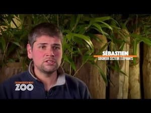 Episode 29