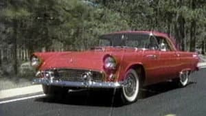 Thunderbird